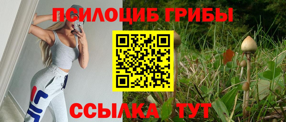 Псилоцибиновые грибы мухоморы  Вход с VPN  Псилоцибиновые грибы Psilocybe  что такое   Воркута 