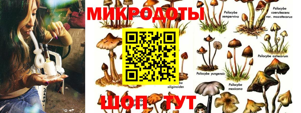Галлюциногенные грибы прущие грибы Воркута
